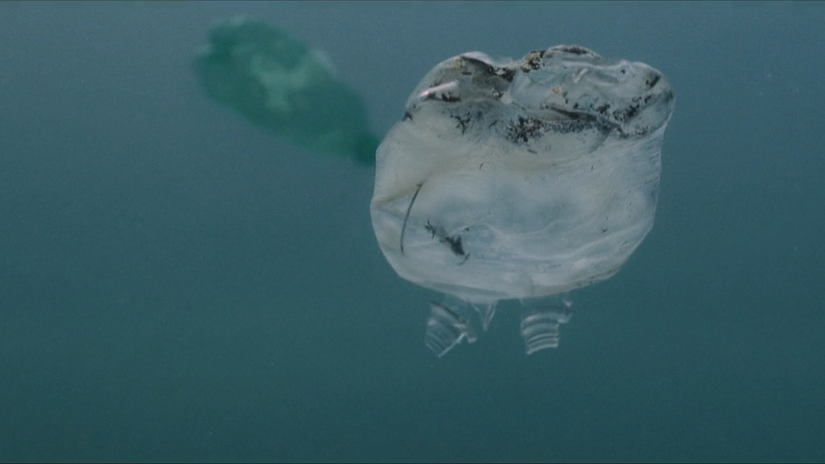 Plastic Warriors | Bahamas Plastic Movement